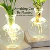 LED Illuminated Hydroponic Glass Vases For Visible Plant Root Growth Display And Ambients Night Light Decoration Home Office