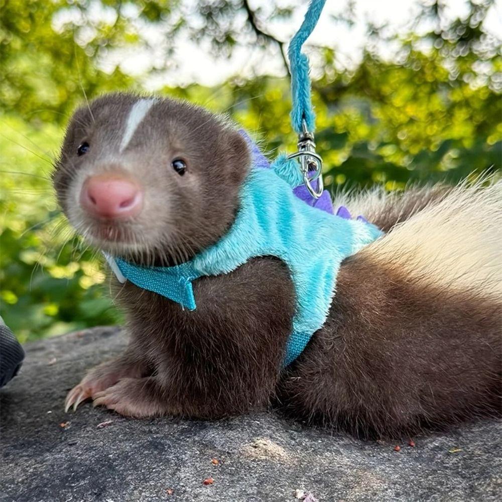 Süße Kurze Frettchen Leine Seil Weste Typ Dinosaurier Form Haustier Seil Glocke Verstellbar Gehen Mäuse Haustier Gehen