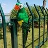 Multicolor Artificial Bird Model Foam Garden Decorative Bird Simulation Parrot  Garden Ornament