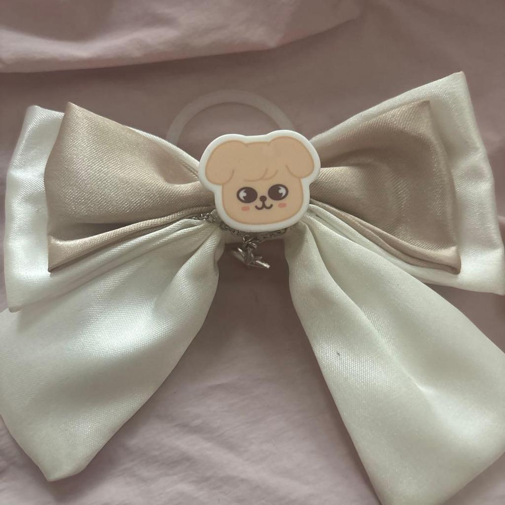 [USED] Straykids PuppyM Penlight Ribbon Accessory