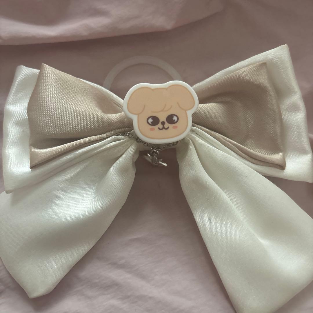 

[USED] Straykids PuppyM Penlight Ribbon Accessory