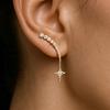 Silver Needle Zircon Mango Pendant Earrings Personalized Fashion Design Sense Niche Earrings Light Luxury High Sense Earrings