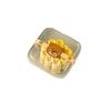 50 Stück Transparente Kunststoff-Mondkuchenschale Verdicktes Stabiles Material Für Verpackung von Mondkuchen und Desserts zum Mittherbstfest