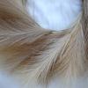 Artificial Pampas Grass Wreath Simulated Reed Wreath Faux Pampas Grass Wreath Decor for Home Living