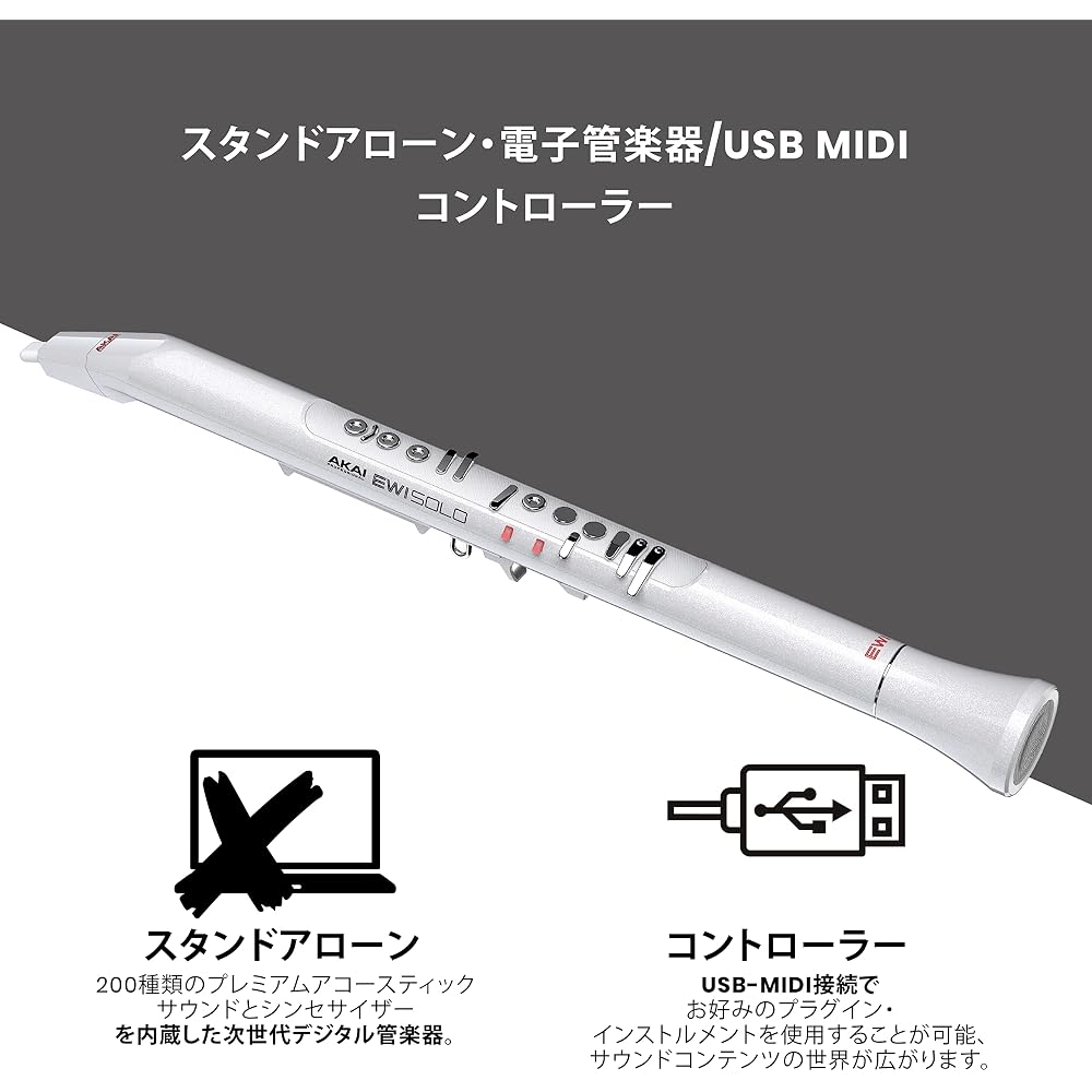 Akai Professional EWI Solo Wind Synthesizer with Built-in Electronic Wind Instrument Speaker, Rec...