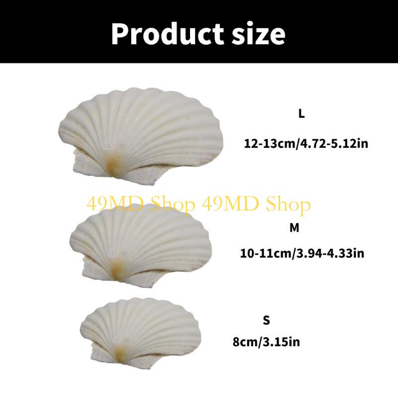49MD Bulk White Scallops Shells for Painting, Baking, Ocean Themed Party Large Seashells Assortment Beach Decors
