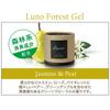 Carmate Luno [Jasmine & Pear] Gel Car Air Freshener & Deodorizer Forest 80g G992 Jasmine & Pear (Single)