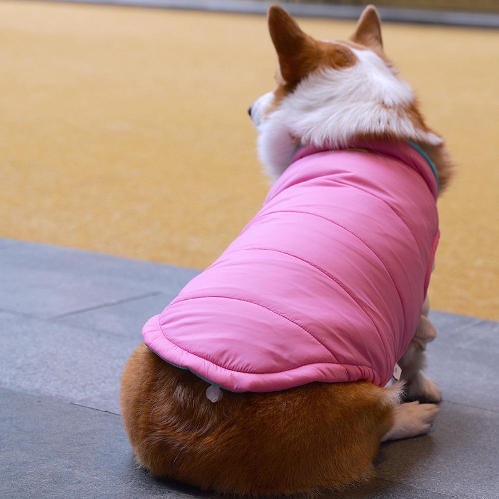 Pet Dog Clothing Small and Medium-sized Dog Autumn and Winter Cotton Jacket Teddy Thick Warm Clothes Jacket Vest Pet Accessories