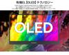JAPANNEXT Inch Mobile Monitor OLED Panel Full HD 1920x1080 Resolution with Smart Case 13.3 (USB/Type C/miniHDMI/PC Compatible/built-in