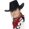 Men's and Women's Cattle Sun Hats Grassland Wide Brimmed Hats Western Cowboy Hats Large Brims, Xinjiang Top Hats Suede