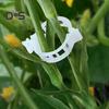 100/200/300 Pcs Plant Clips Plastic Plant Support Clips Reusable Tomato Trellis Clips for Climbing Plants Vines Cucumbers Indoor Outdoor Use