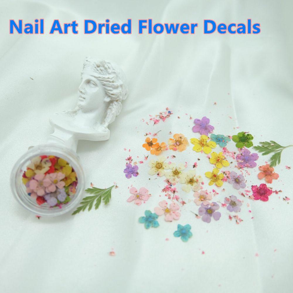 Pressed Flower 3D Nail Art Decorations Manicure Accessories Nail Art Dried Flower DIY Nail Decals