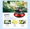 Solar-Powered Rotating Car Air Freshener - Helicopter & Airplane Aromatic Ornament for Car Interior Decoration