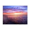 Ropical Beach Backdrop Banner,Wall Decor for Summer Parties,Events,Photo Shoot Backdrop,Beach Theme Decor,Weddings