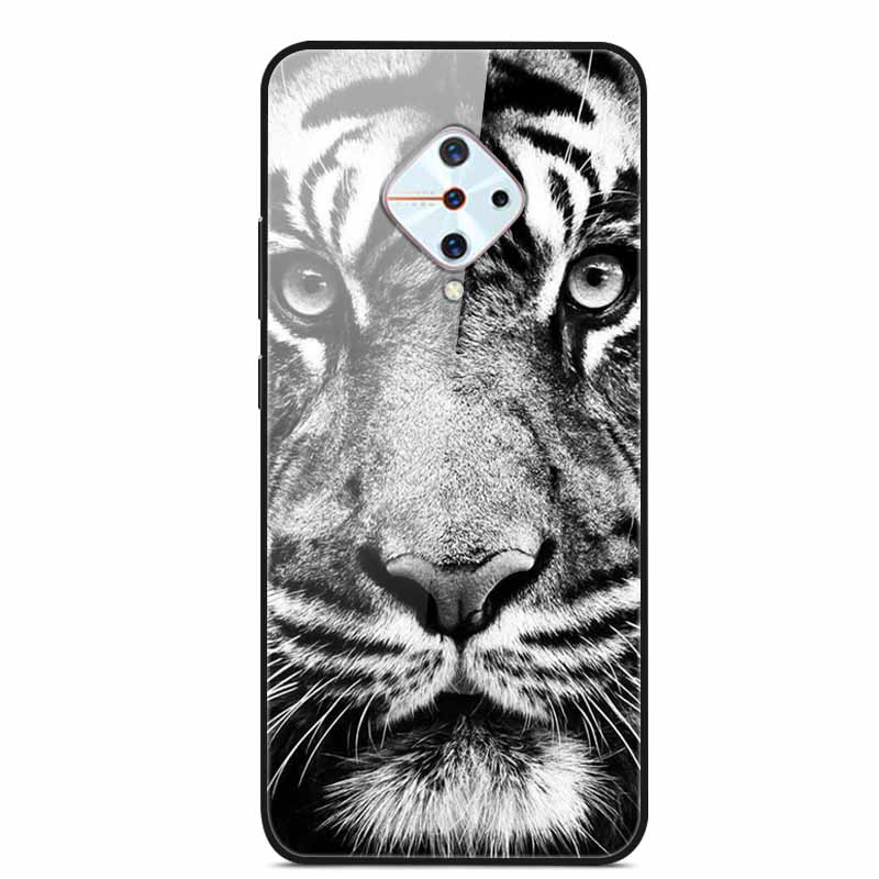 Tempered Glass Case For Vivo V17 Case Russia Glass Back Cover Soft Bumper For Vivo V17 Phone Cases V 17 Funda Y9s S1 Pro Coque