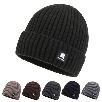 Autumn and Winter New Men's Korean Edition Warm Knitted Hat Outdoor Plush Anti Cold Hoodie Youth Knitted Hat