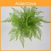 Pianta Realistica Felce Maschio Dryopteris Filix Schott Con Foglie Realistiche Per Miglioramento Domestico