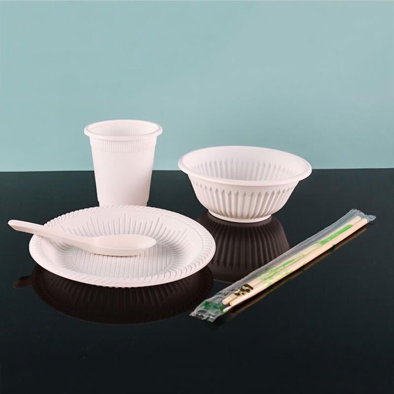 Eco-Friendly 5-Piece Disposable Tableware Set