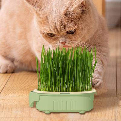 Hydroponic Indoor Cat Grass Tray Cute Elephant Shape Cat Grass Planting Tray Soil-Less Watering Hollow Out Container For Indoor