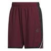 Basketball Shorts Men's Sauce Purple/black Moderate