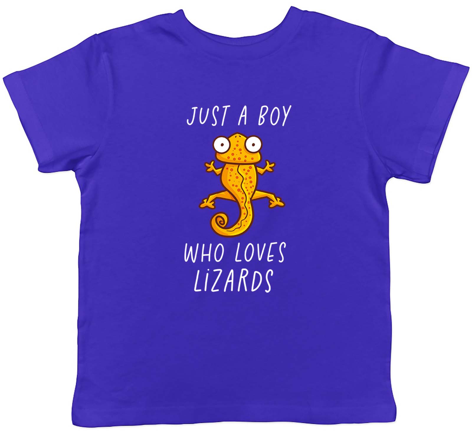 Just A Boy Who Loves Lizards Childrens Kids T-Shirt Boys Girls Gift 150