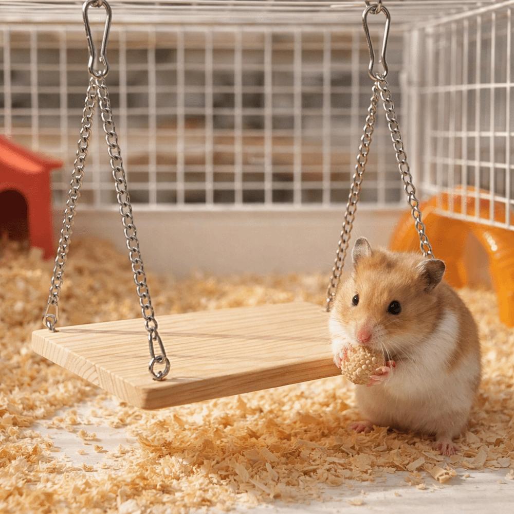 Bite Resistant Hamster Swing Toys Durable Cockatiel Swing Ladder Parrot Hanging Bed Training