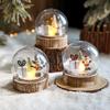 LED Christmas Decorative Lights Transparent Ball Light Christmas Ornaments Child New Year Xmas Gift Bedroom Living Room Decor