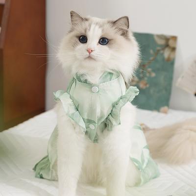 Cat Clothes Spring and Summer Chinese Ink Danqing Dress Thin Mesh Blue Cat Hairless Cat Pet Clothes