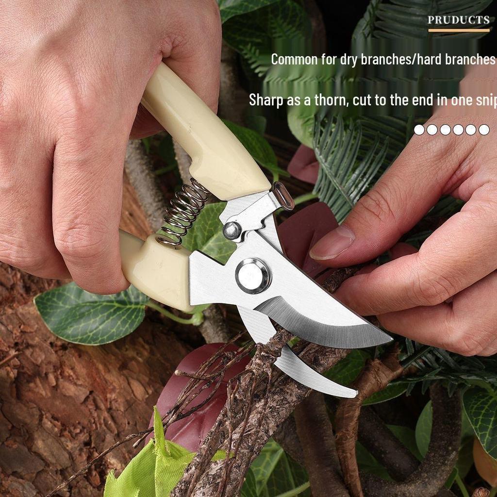 Stainless Steel Pruning Shears for Garden, Fruit, Flower, and Wood