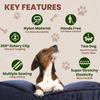 BLIVORRA-Hands-Free Dog Leash for 2 Dogs – Dual Bungee with Waist Belt, Pouch & Padded Handles – Tangle-Free, Shock Absorbing Leash for Walking,