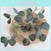 Leaves Eucalyptus Artificial Robusta Smith For Wedding Party Decor
