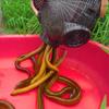 3/6/8 Hole Crabs Loach Catching Basket Eel Cage Crawfish Catcher Crabs Baits Shrimp Traps Lobsters Trap Fishing Cage