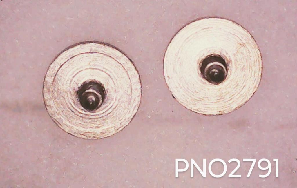 CITIZEN Parts Ratchet Screw PNO2791 (5) Grace/Highlook/Noble [Mail]