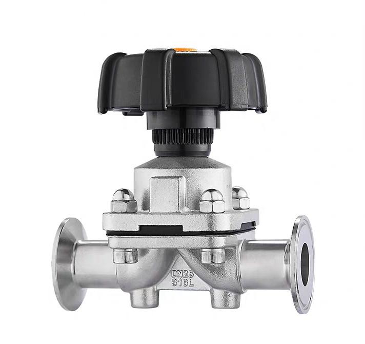 OEM 316L Stainless Steel Tri-Clamp Diaphragm