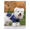 Autumn Winter Dog Outfit Functional Plaid Dog Cotton Coat Thickened Warm Dog Pet Clothes