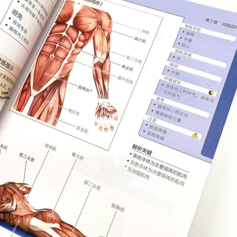 Strength and Conditioning Training Guidebook