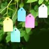 100pcs Hanging Tree Name Signs Colorful Paper Label Tags Plant Pot Label Card Handmade Wedding Favors Craft Gift Hang Tag