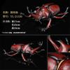 Realistic Insect Figure Collection Set Wasp Mantis Cicada Pupa Rhinoceros Beetle Nature Model Toy Gift For Fans Collectors