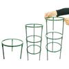 Plant Support Pile Stand Climb for Flowers Grow Semicircle Greenhouses Arrangement Fixing Rod Holder Orchard Garden Bonsai Tool