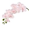 Artificial Orchid Flowers Long Stemmed Realistic Phalaenopsis Orchids No Maintenance Velvet Petals Fake Flower Home Decor