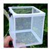 Inside The Fish Tank Fish Seedlings Are Kept In Isolation Net Breeding Box