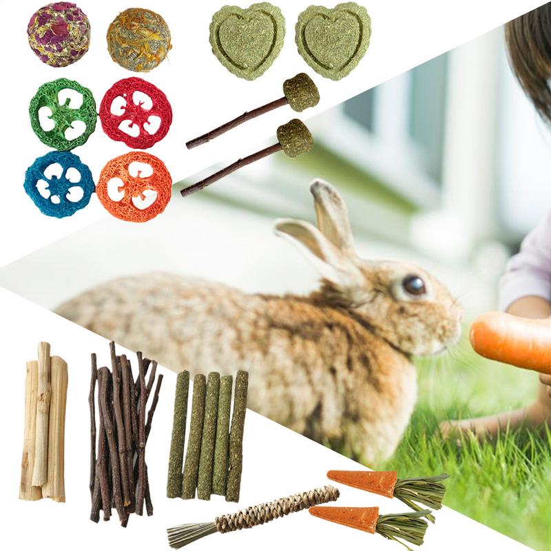 Bunny Chew Toys For Teeth Small Animal Molar Toy Wood Treats Safe Bite Resistant Chew Treats Supplies For Gerbils Small Pets