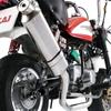 Nankai Parts Not Monkey Power Comp Muffler All Stainless Steel Irregular Shaped Silencer (NANKAI) Vehicle Included (Type 14) MM-14