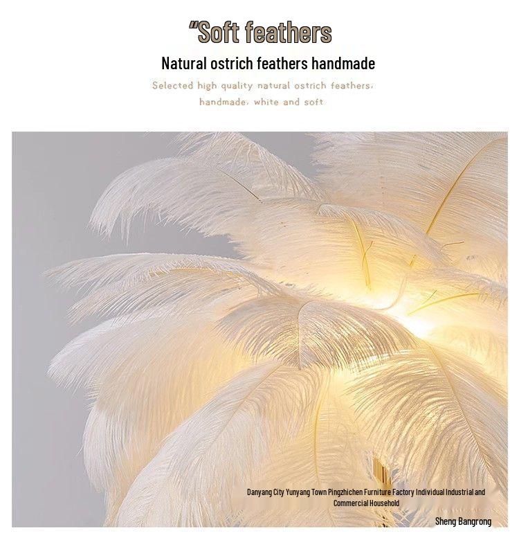 Ostrich Feather Romantic Floor Lamp - French Influencer Style for Living Room or Bedroom
