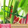 10-300Pcs Adjustable Plant Ties Reusable Self-Locking Wrap Strap For Garden Plant Vine  Supports Garden Plant Fastening Tie