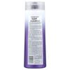 Color Chic™, Purple Shampoo, 399Ml(13.5Fl Oz)