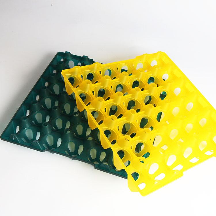 Nowa Plastikowa Tacka na Jajka - Mieści 30 Jajek Kurzych lub 20 Jajek Kaczych