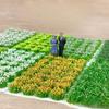 Sand Scene Scenery Material Artificial Grass Bushes Miniature Greenery Plant Cluster Decor Simulation Flower Grass Tufts Model
