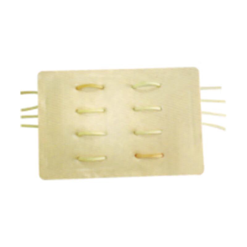 Indeterminate Vascular Ligation Training Model