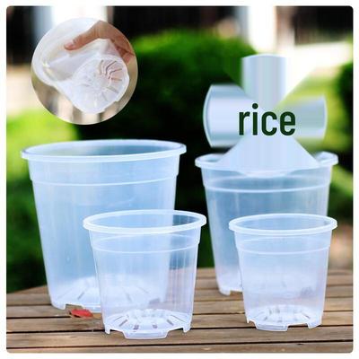 Qingshan Transparent Root Control Orchid Pot